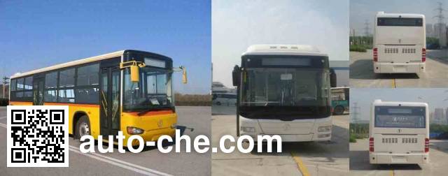 Shacman city bus SX6102GJN